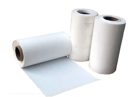 Pp inodores non toxiques le papier filtre 0.37mm favorables à l'environnement profondément