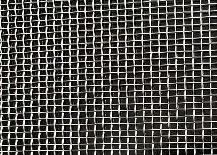 Champ anticorrosion de Mesh Woven For Metal Sand d'écran de vibration
